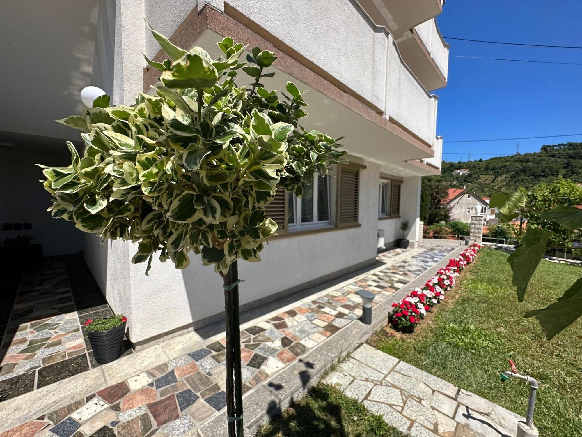 Apartments Vinse Near Rab Center 拉布 外观 照片