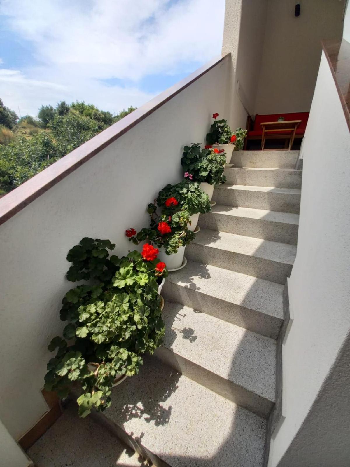 Apartments Vinse Near Rab Center 拉布 外观 照片
